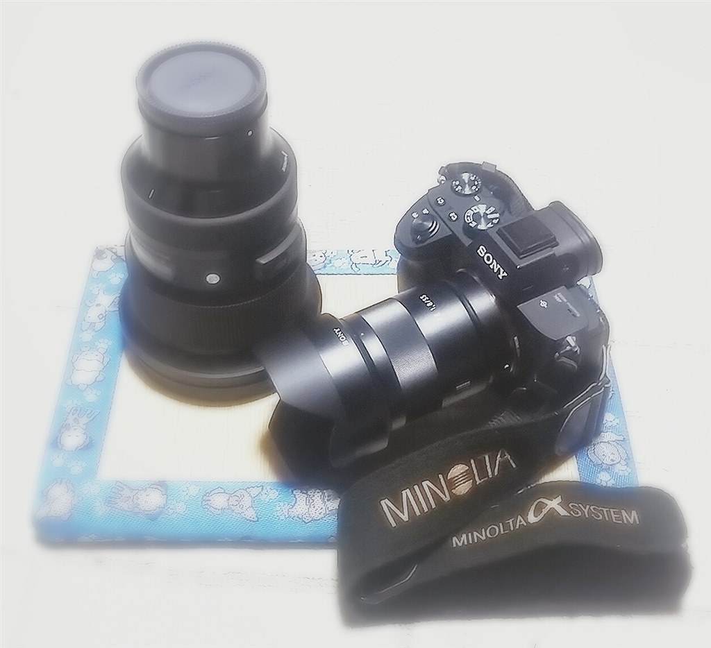 α9Ⅱが出て、20万切れば欲しいカメラ♪（笑）』 SONY α9 ILCE-9 ボディ