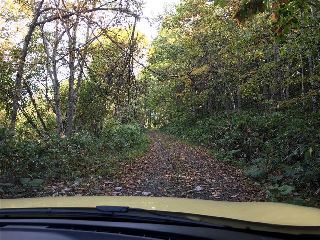 カングー購入予定 ルノー カングー 09年モデル のクチコミ掲示板 価格 Com