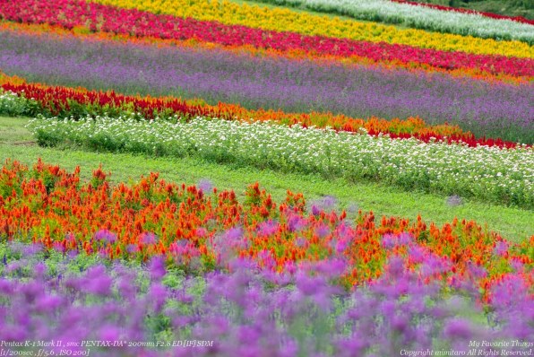 ペンタックス smc PENTAX-DA☆ 200mm F2.8ED [IF] SDMで撮影された写真