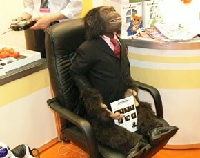 足枷ヲ解放ｗ４足 猿の腰掛けｗ の如く座り画いいねぇ Denon Ah D70 のクチコミ掲示板 価格 Com