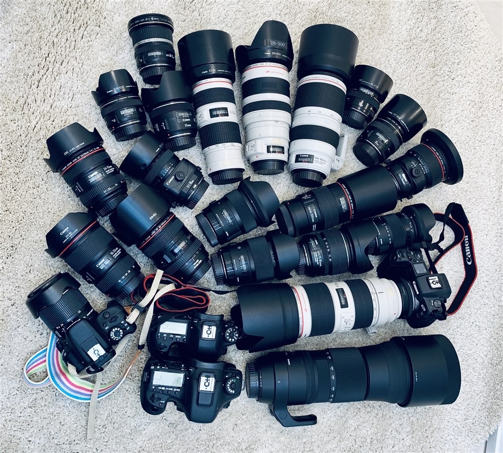 ミラーレスの電子シャッター歪み。』 CANON EOS R ボディ の ミラーレスの電子シャッター歪み。』 CANON EOS R ボディ の