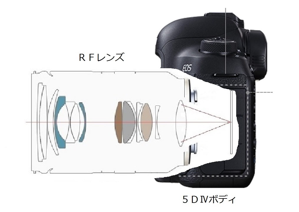 Canon - EOSRボディ+RFレンズ+その他 特別レビュー】EOS R とキヤノンRFレンズ4本・マウント