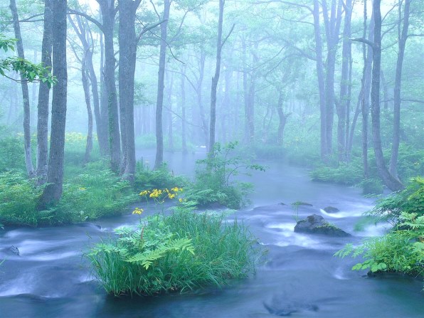 オリンパス CAMEDIA C-8080 Wide Zoomで撮影された写真 - 価格.com