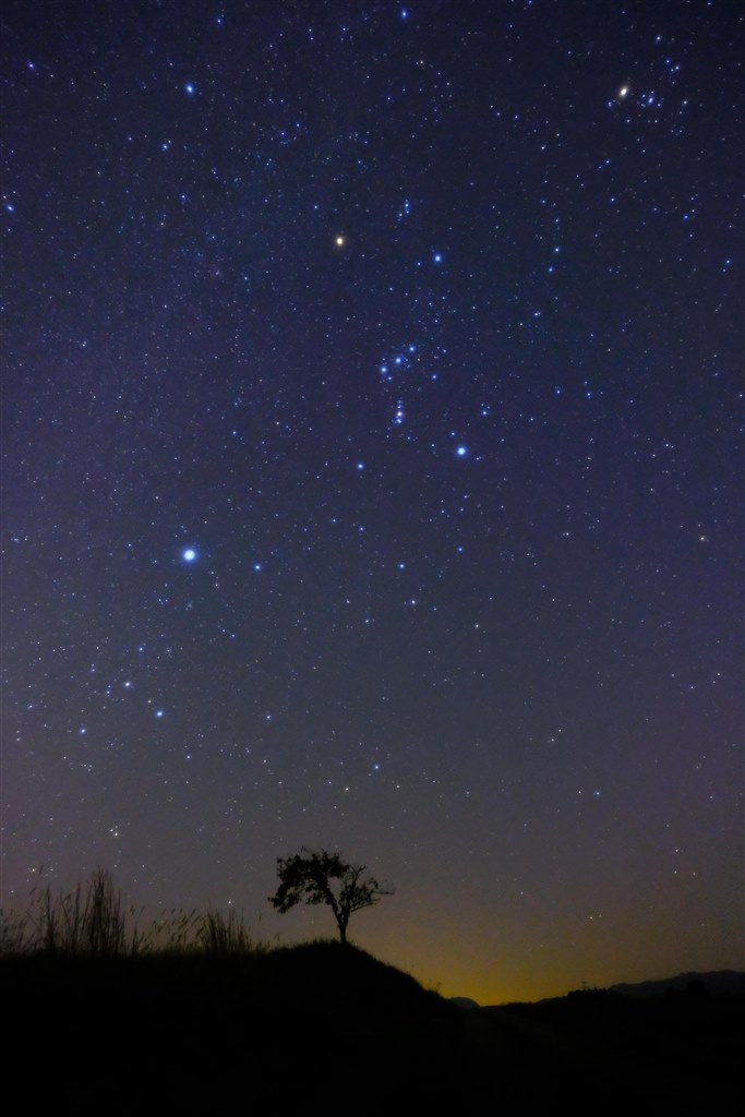 ふぁ　SAMYANG 12mm F2.0 Eマウント　※景色を撮るなら！ ふぁ SAMYANG 12mm F2.0 Eマウント ※景色を撮るなら！ やっぱり