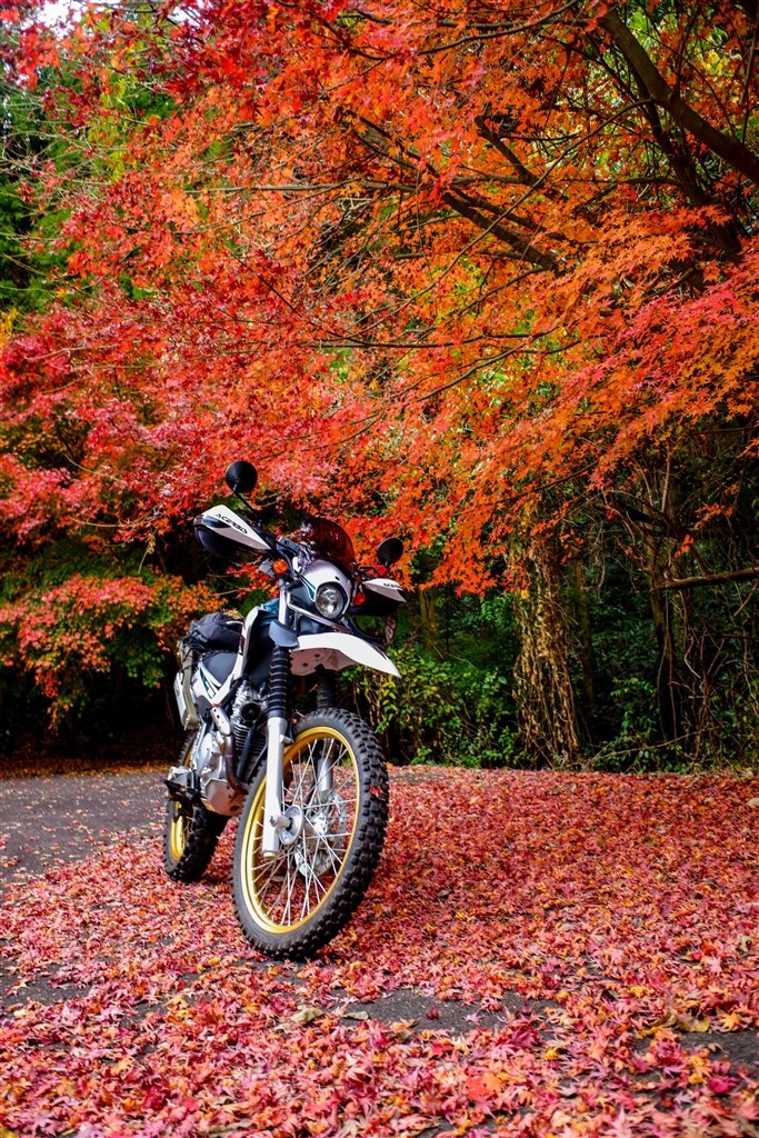 冬バイク クチコミ掲示板 価格 Com