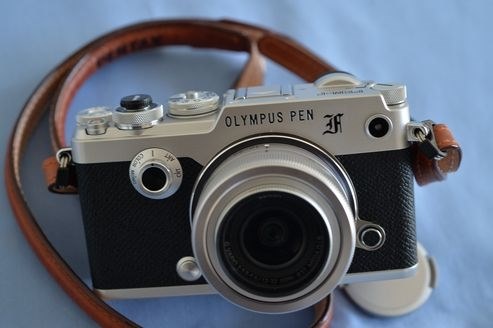 PEN-F 花文字蒔絵が欲しい！！』 オリンパス OLYMPUS PEN-F ボディ の