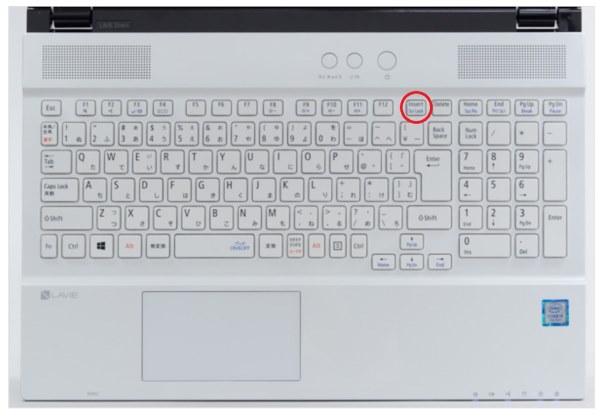 【純正新作】NECノートパソコン NS300KAR ️値引き交渉もお受けします ️ Windowsノート本体