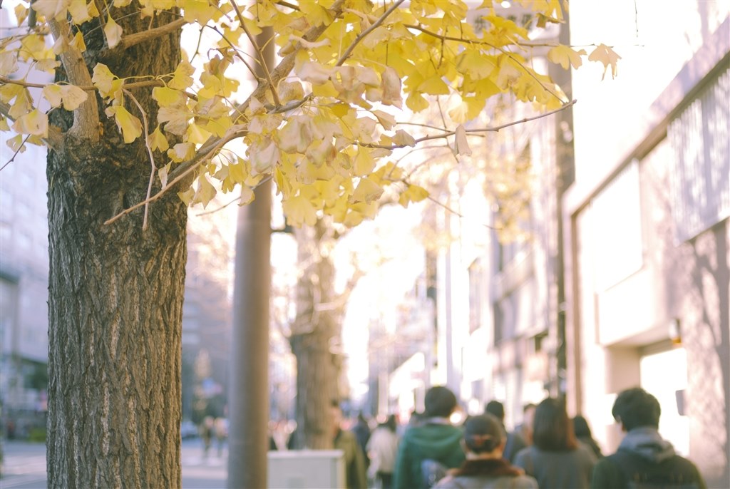 D200と出会って90日が経過しました。』 ニコン D200 ボディ のクチコミ