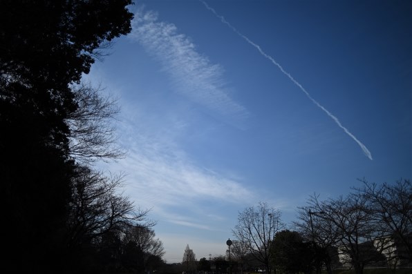 k*様 Carl Zeisse Distagon 25mm f2.8 単焦点レン Carl Zeiss Distagon T* 25mm F2.8 ZK 元箱 付属品付 カール