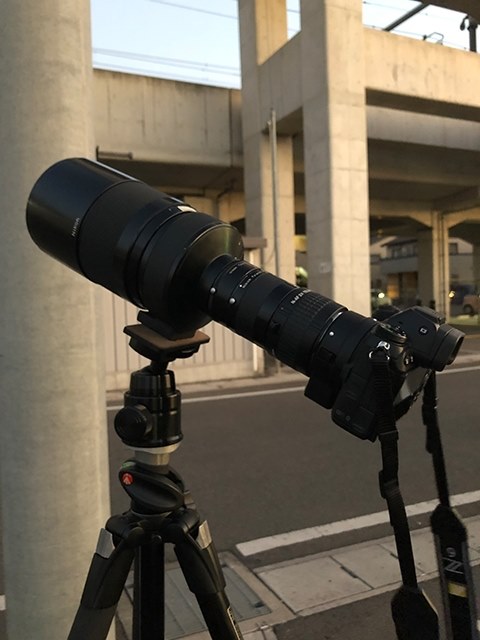 Reflex-Nikkor 1000mm F11 + テレコン + FTZ + Z6』 ニコン Z 6