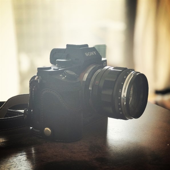デジタルカメラ Voigtlander Nokton 50mm F1.2 ASPH Voigtlander NOKTON 50mm F1.2 Aspherical VM｜新品通販フジヤカメラ