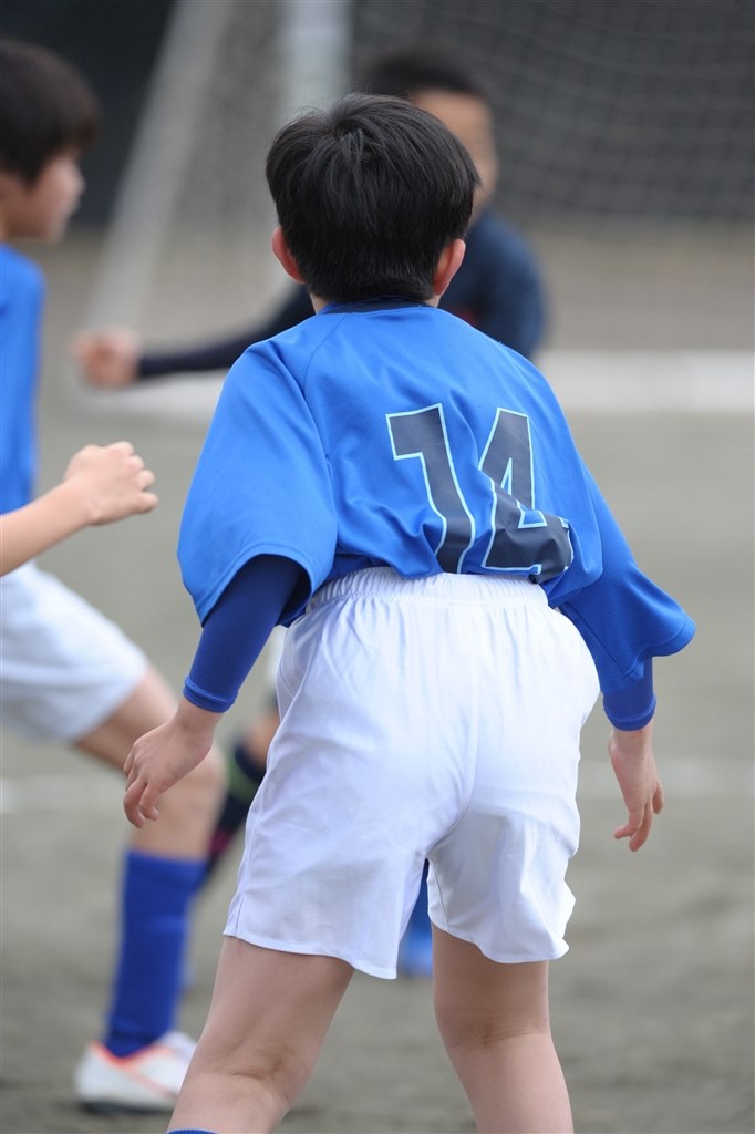 やっぱり楽しいサンニッパ！』 ニコン AI AF-S Nikkor ED 300mm F2.8D