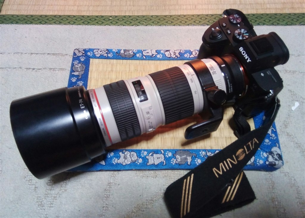 また買い戻すの巻♪（笑）』 CANON EF70-200mm F4L USM のクチコミ