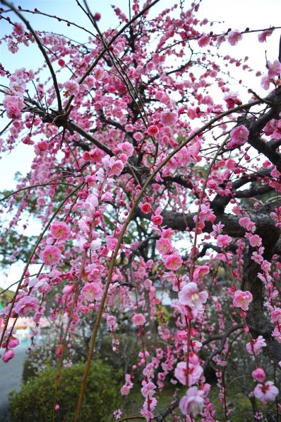 CANON EF20-35mm F3.5-4.5 USMで撮影された写真 - 価格.com
