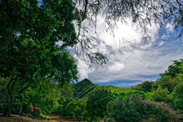 一眼カメラで気ままに楽しみたい その１７ クチコミ掲示板 価格 Com