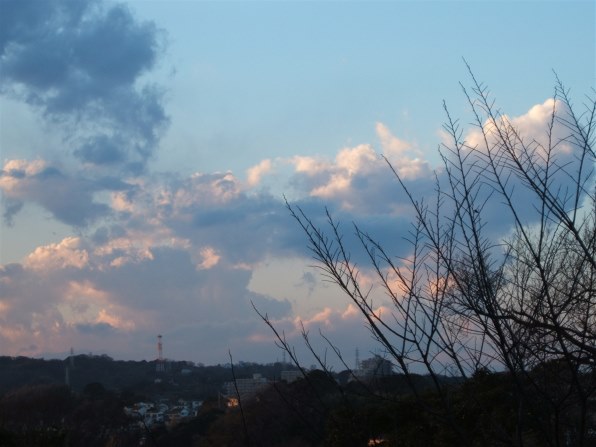 富士フイルム FinePix F440で撮影された写真 - 価格.com