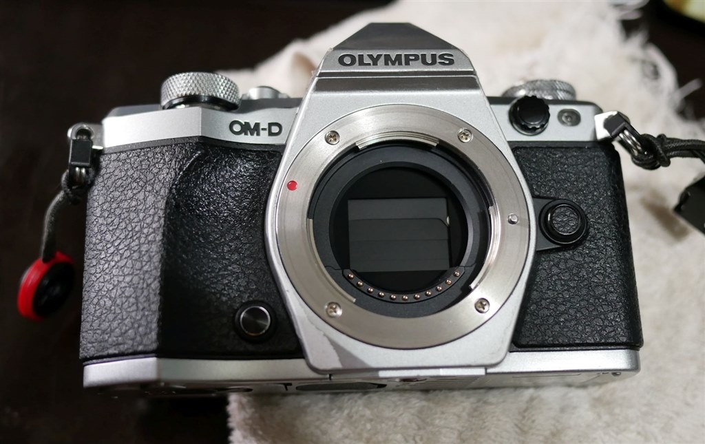 OLYMPUS ミラーレス一眼　OM-D E-M10 ※シャッター故障