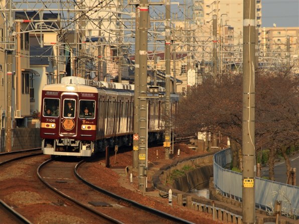 ✨柔らかい写真に✨Canon EF 100-300mm F5.6 作例有り CANON EF100-300mm F5.6Lで撮影された写真 - 価格.com