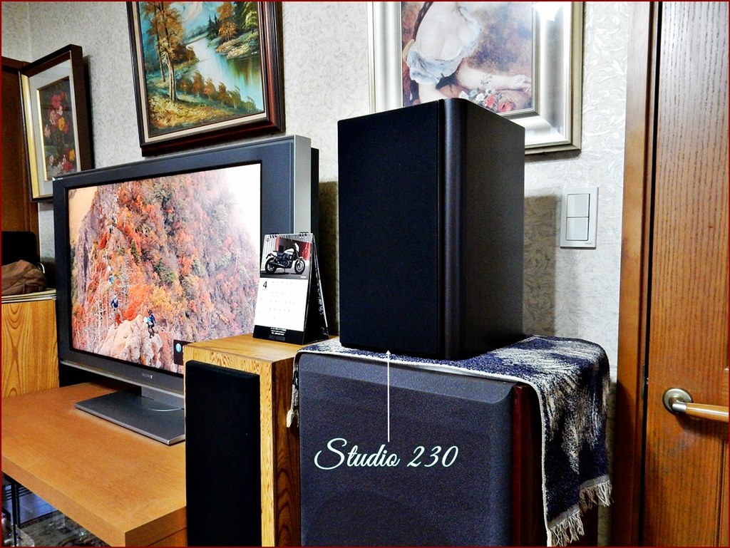 素晴らしい驚きの重低音』 JBL STUDIO 230 [ペア] のクチコミ掲示板