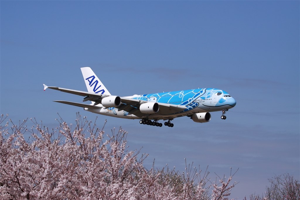 念願のflyinghonu ゲット』 CANON EOS 50D ボディ のクチコミ掲示板