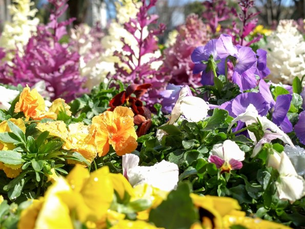 オリンパス E-510 ダブルズームキット 価格比較 - 価格.com