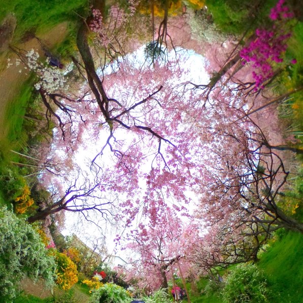 リコー RICOH THETA SC [ピンク]で撮影された写真 - 価格.com