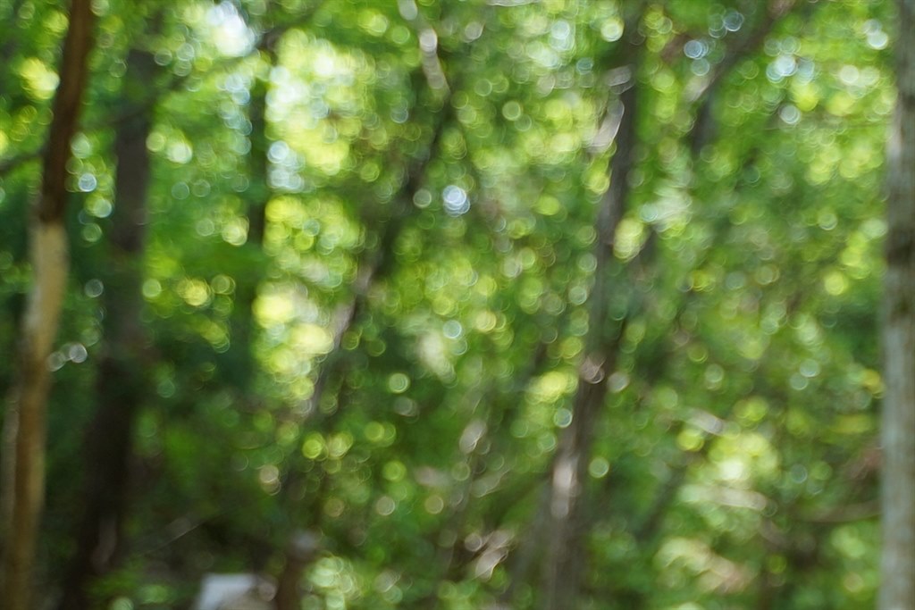 絞り開放ではボケがうるさくなる 新ファーム カールツァイス Batis 2 40 Cf のクチコミ掲示板 価格 Com