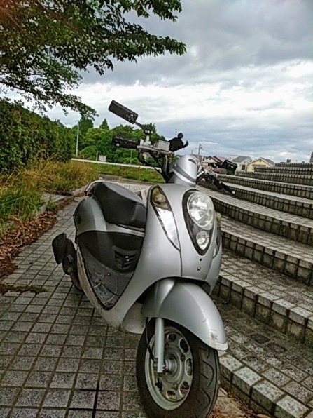 ZTE MONO MO-01J docomoで撮影された写真 - 価格.com