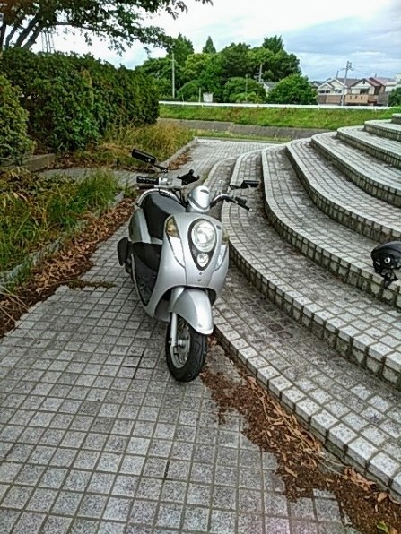 ジモモ ジャグヮー XJ-S TWR スポーツ “ハク リンファ” w/フィギュア