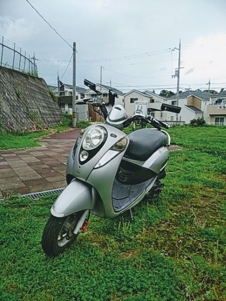 ジモモ ZTE MONO MO-01J docomoで撮影された写真 - 価格.com