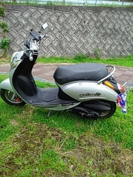 ジモモ ジャグヮー XJ-S TWR スポーツ “ハク リンファ” w/フィギュア