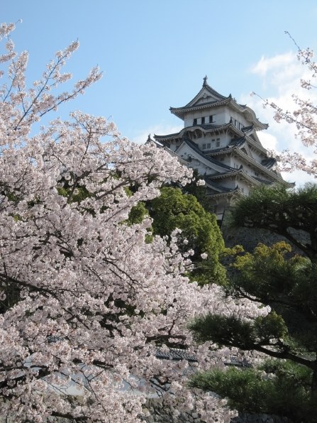 CANON IXY DIGITAL 930 ISで撮影された写真 (掲示板) - 価格.com