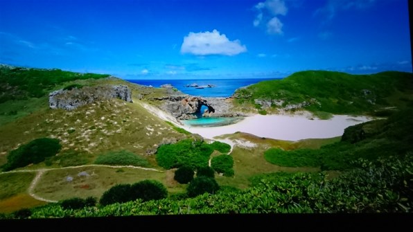 4K Ultra HD BD 「世界自然遺産 小笠原 ～ボニンブルーの海