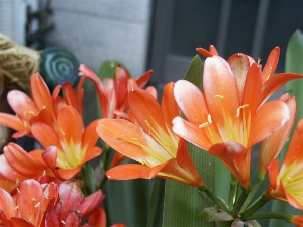 ★ミノルタ ディマージュS304 MINOLTA DiMAGE S304