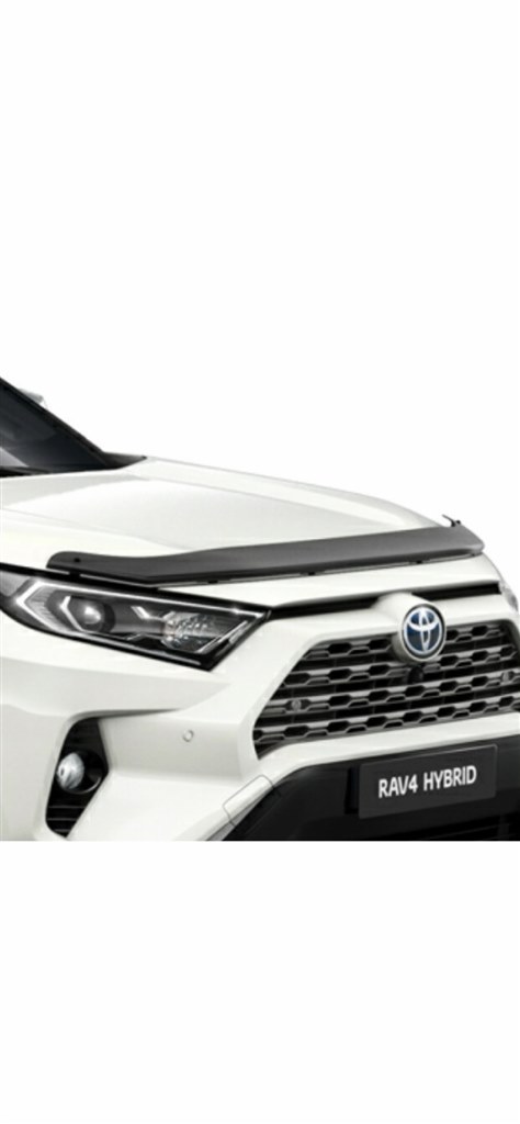 バグガードがカッコいい！』 トヨタ RAV4 2019年モデル のクチコミ掲示板 - 価格.com