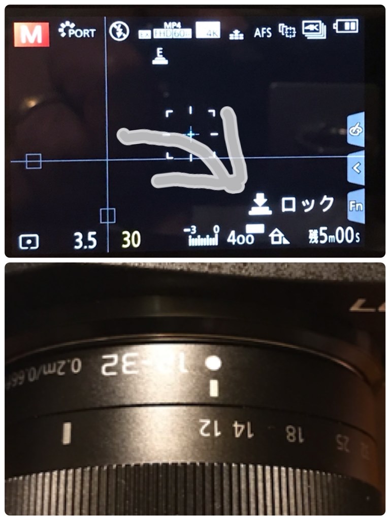 LUMIX DC10W 2日のみ使用 LUMIX DC10W 2日のみ使用