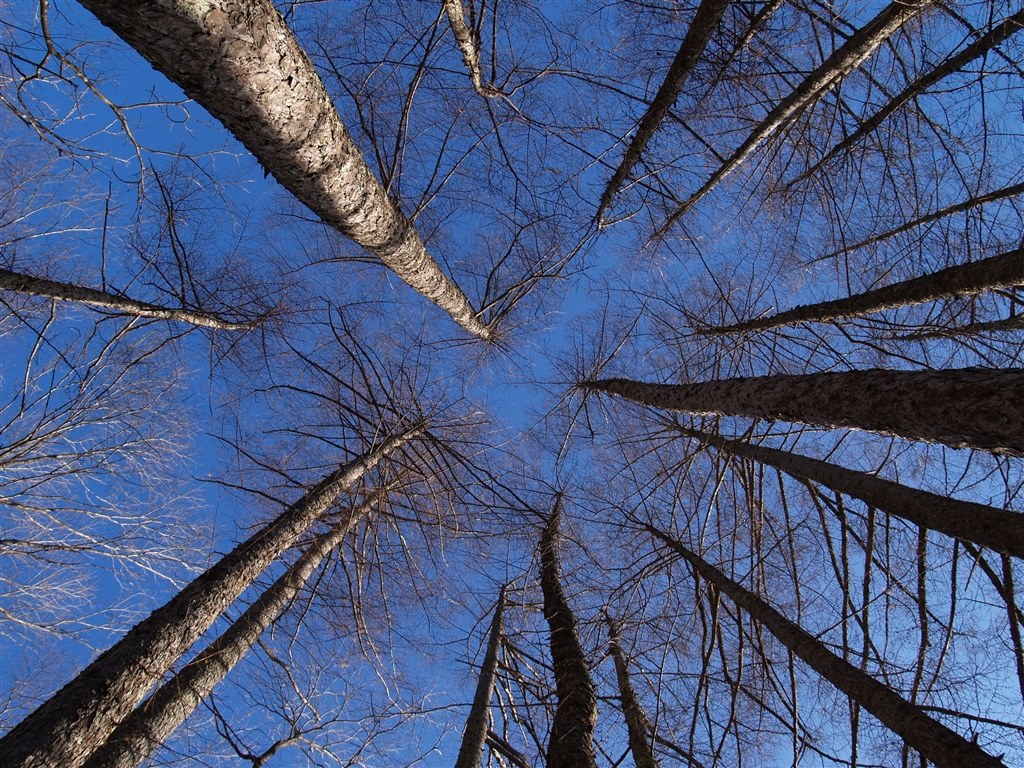 インスタ映え にアサヒカメラが怒りの一撃 クチコミ掲示板 価格 Com