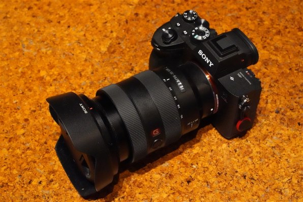 SONY FE 12-24mm F4 G SEL1224G 美品 0cf5566dae8978ef89e6a9021e93c5