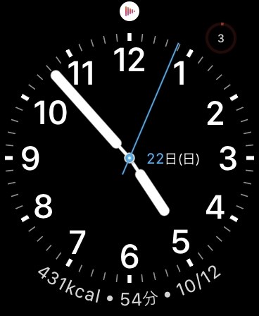 Apple Apple Watch Series 5 GPS+Cellularモデル mm ステンレス