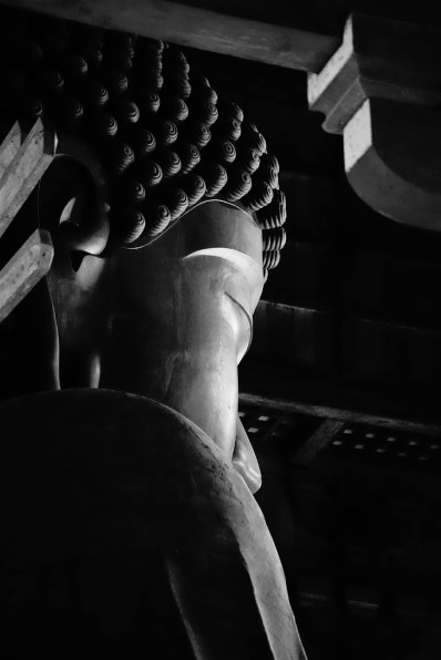 ニコン AF-S DX VR Zoom-Nikkor 55-200mm f/4-5.6G IF-ED投稿画像