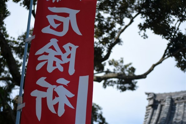 ニコン AF-S DX VR Zoom-Nikkor 55-200mm f/4-5.6G IF-ED投稿画像