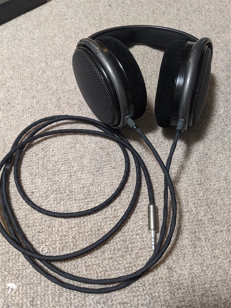 HD650 SENNHEISER 本体と付属ケーブル - ヘッドフォン