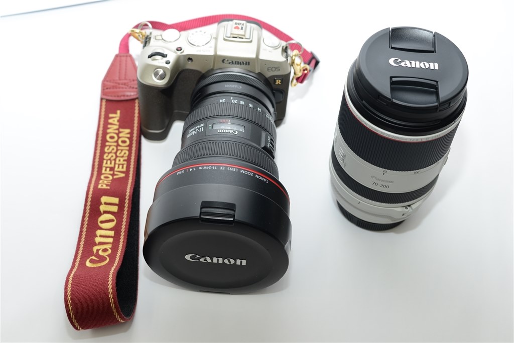 初めてのキャノンミラーレスゴールド』 CANON EOS RP(ゴールド