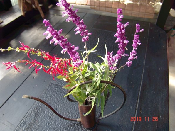 SONY サイバーショット DSC-F828投稿画像・動画 - 価格.com