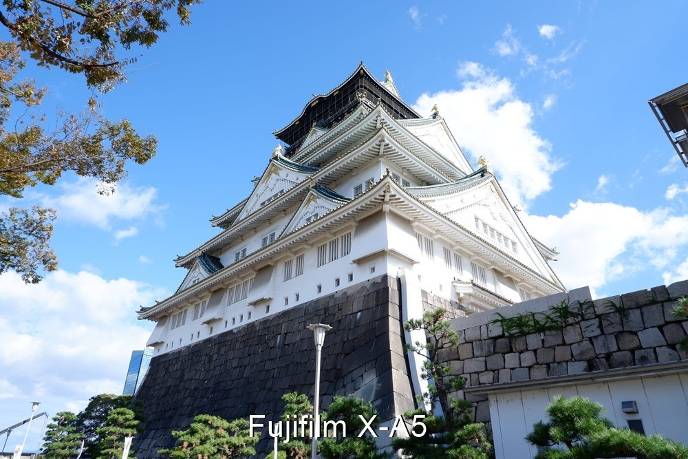 花の色が鮮明に写らない』 富士フイルム FUJIFILM X-A5 レンズ 花の色が鮮明に写らない』 富士フイルム FUJIFILM X-A5 レンズ