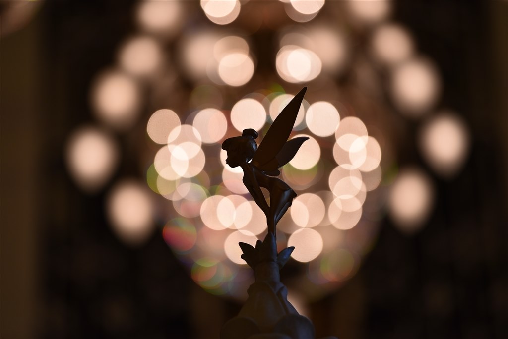 ディズニーリゾートに持っていくレンズは 富士フイルム Fujifilm X T レンズキット のクチコミ掲示板 価格 Com