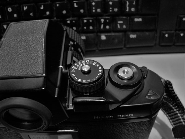 パナソニック LUMIX DMC-FZ10投稿画像・動画 - 価格.com パナソニック LUMIX DMC-FZ10投稿画像・動画 - 価格.com