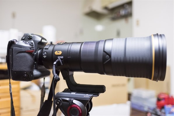 ニコン AF-S NIKKOR 500mm f/4E FL ED VR投稿画像・動画 - 価格.com