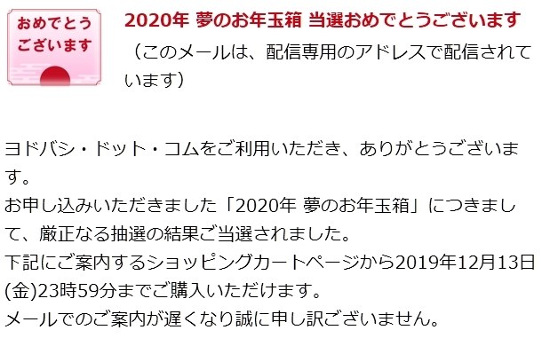 ヨドバシお年玉箱2020 SurfaceProの夢7万円はコレでしたか 