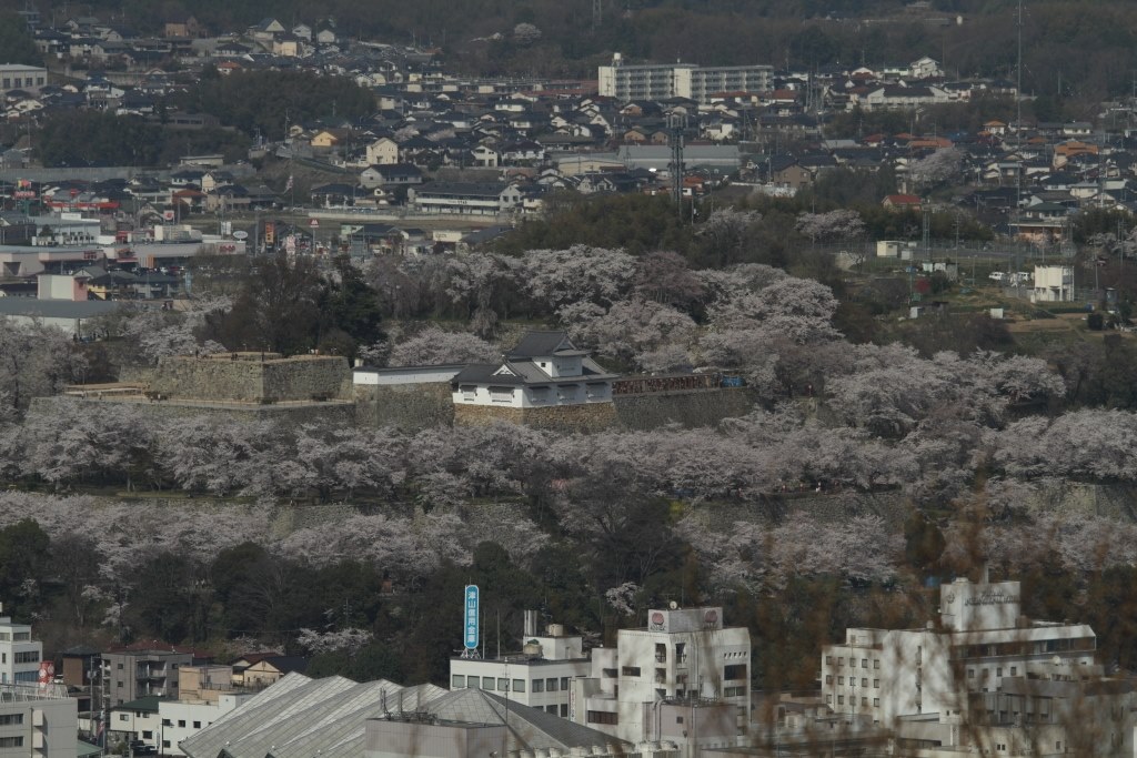 EF-S55-250mm STMと悩んでいます。』 CANON EF70-300mm F4-5.6 EF-S55-250mm STMと悩んでいます。』 CANON EF70-300mm F4-5.6